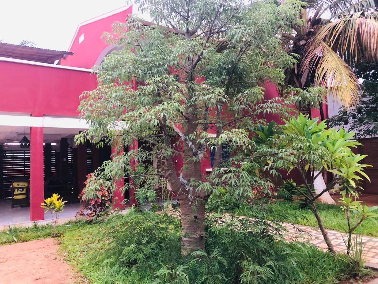 Maison d'hôtes Bohobé Naboty Toliara Extérieur photo